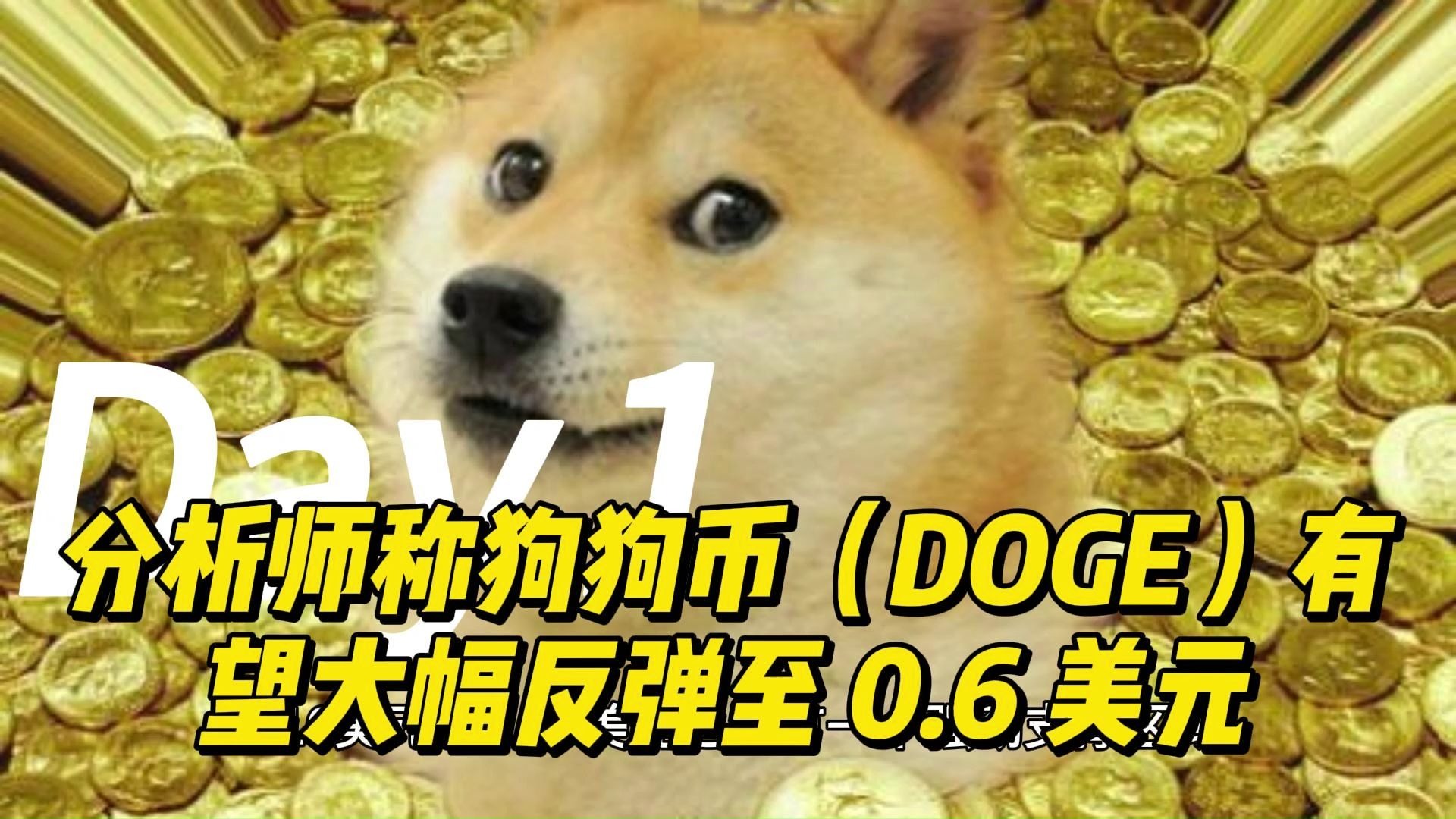 专家称狗狗币将在年底冲破11.81美元，引发引发关注，震惊市场-九游登录入口